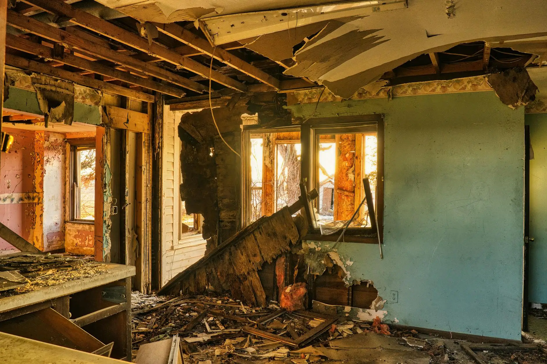 Leading Mold Removal Company in Port St. Lucie — Port St. Lucie, FL